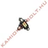 Izzó LEDes 12/24V 5W szoffita 41mm 6 SMD Canbus